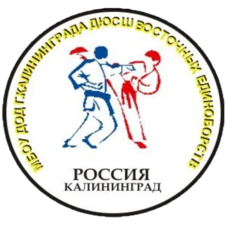 Муниципальное автономное учреждение дополнительного образования  города Калининграда спортивная школа восточных единоборств